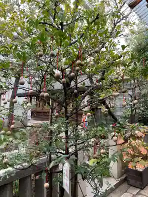 錦天満宮(京都府)