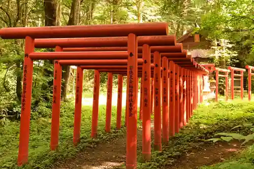 天命稲荷神社(長野県)
