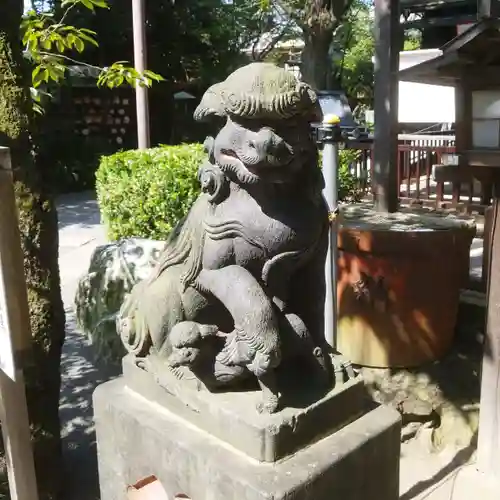 七社神社の狛犬