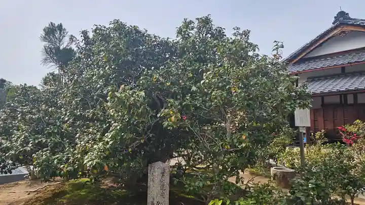 総見院(京都府)