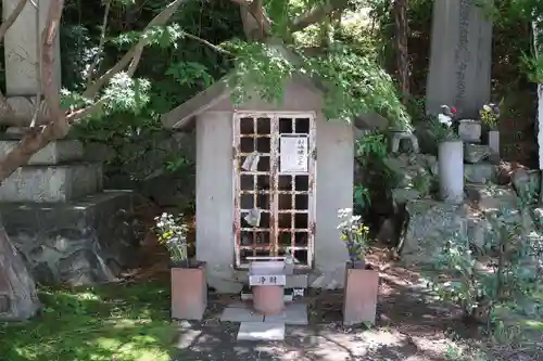 洞雲寺(愛知県)