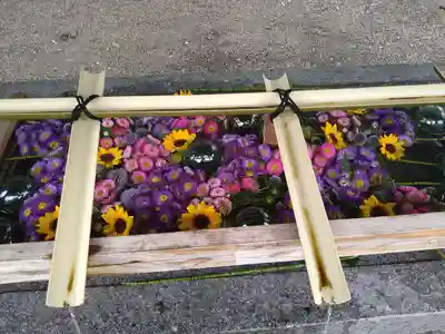 浅草神社の手水舎