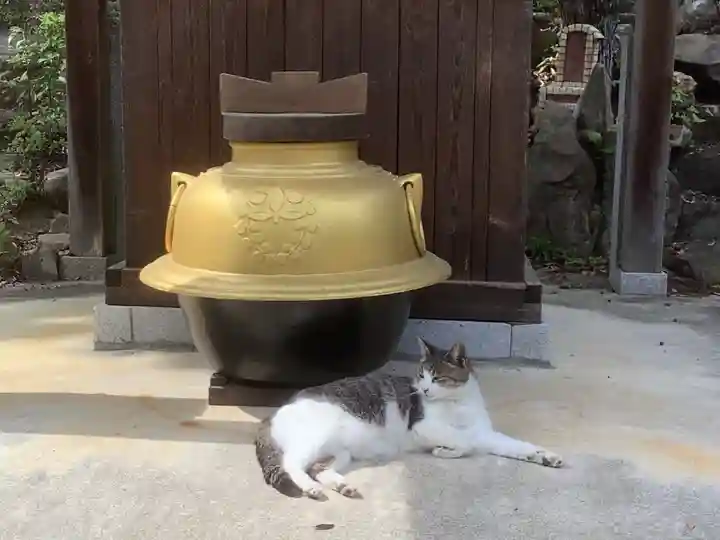 玉野御嶽神社の動物