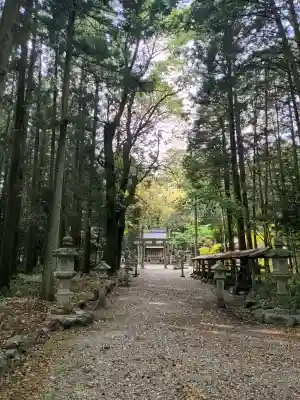 野々宮神社の{uncategorized: "未分類", other: "その他", undefined: "問題あり", building: "その他建物", grave: "お墓", sacred_gate: "鳥居", guardian: "狛犬", statue: "像", buddha: "仏像", history: "歴史", nature: "自然", garden: "庭園", animal: "動物", pagoda: "塔", temizu: "手水舎", mountain_gate: "山門・神門", sanctuary: "本殿・本堂", subordinate: "末社・摂社", art: "芸術", scenery: "景色", jizo: "地蔵", ema: "絵馬", goshuin: "御朱印", omikuji: "おみくじ", items: "授与品その他", amulet: "お守り", goshuincho: "御朱印帳", eats: "食事", festival: "お祭り", votive_dance: "神楽", shichigosan: "七五三参", wedding: "結婚式", experience: "体験その他", initially: "初詣", around: "周辺", anti_infection: "感染症対策"}