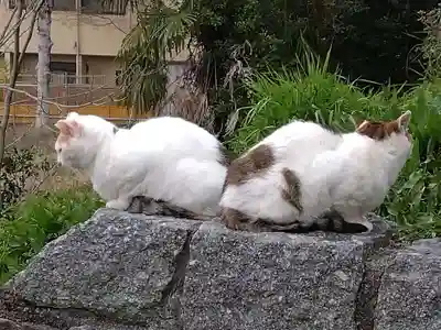熊野若王子神社(京都府)