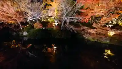 清水寺の{uncategorized: "未分類", other: "その他", undefined: "問題あり", building: "その他建物", grave: "お墓", sacred_gate: "鳥居", guardian: "狛犬", statue: "像", buddha: "仏像", history: "歴史", nature: "自然", garden: "庭園", animal: "動物", pagoda: "塔", temizu: "手水舎", mountain_gate: "山門・神門", sanctuary: "本殿・本堂", subordinate: "末社・摂社", art: "芸術", scenery: "景色", jizo: "地蔵", ema: "絵馬", goshuin: "御朱印", omikuji: "おみくじ", items: "授与品その他", amulet: "お守り", goshuincho: "御朱印帳", eats: "食事", festival: "お祭り", votive_dance: "神楽", shichigosan: "七五三参", wedding: "結婚式", experience: "体験その他", initially: "初詣", around: "周辺", anti_infection: "感染症対策"}