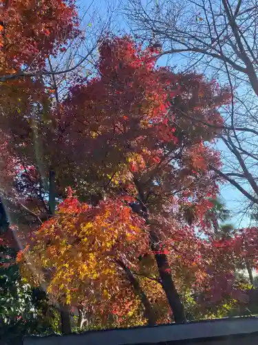 鹿嶋神社の自然
