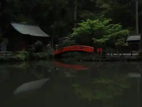 小國神社の{uncategorized: "未分類", other: "その他", undefined: "問題あり", building: "その他建物", grave: "お墓", sacred_gate: "鳥居", guardian: "狛犬", statue: "像", buddha: "仏像", history: "歴史", nature: "自然", garden: "庭園", animal: "動物", pagoda: "塔", temizu: "手水舎", mountain_gate: "山門・神門", sanctuary: "本殿・本堂", subordinate: "末社・摂社", art: "芸術", scenery: "景色", jizo: "地蔵", ema: "絵馬", goshuin: "御朱印", omikuji: "おみくじ", items: "授与品その他", amulet: "お守り", goshuincho: "御朱印帳", eats: "食事", festival: "お祭り", votive_dance: "神楽", shichigosan: "七五三参", wedding: "結婚式", experience: "体験その他", initially: "初詣", around: "周辺", anti_infection: "感染症対策"}