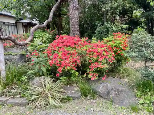 永泉寺(群馬県)