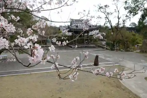 真龍寺の景色