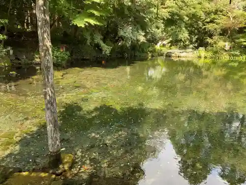 富士山本宮浅間大社の庭園