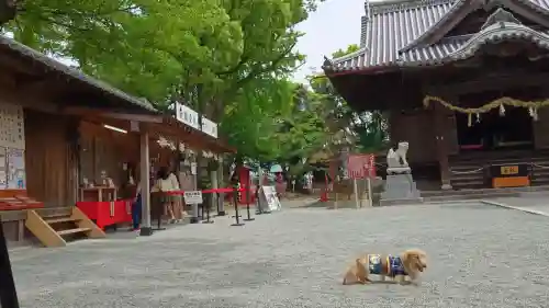 福島八幡宮の{uncategorized: "未分類", other: "その他", undefined: "問題あり", building: "その他建物", grave: "お墓", sacred_gate: "鳥居", guardian: "狛犬", statue: "像", buddha: "仏像", history: "歴史", nature: "自然", garden: "庭園", animal: "動物", pagoda: "塔", temizu: "手水舎", mountain_gate: "山門・神門", sanctuary: "本殿・本堂", subordinate: "末社・摂社", art: "芸術", scenery: "景色", jizo: "地蔵", ema: "絵馬", goshuin: "御朱印", omikuji: "おみくじ", items: "授与品その他", amulet: "お守り", goshuincho: "御朱印帳", eats: "食事", festival: "お祭り", votive_dance: "神楽", shichigosan: "七五三参", wedding: "結婚式", experience: "体験その他", initially: "初詣", around: "周辺", anti_infection: "感染症対策"}