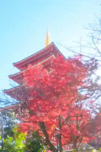 高幡不動尊　金剛寺(東京都)