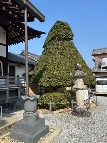 医王寺(愛知県)