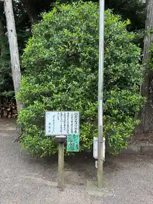 息栖神社(茨城県)