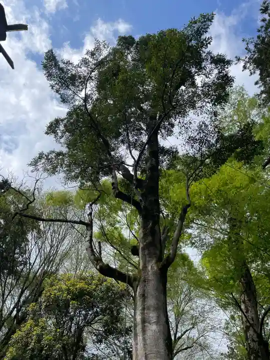 兵主神社(兵庫県)