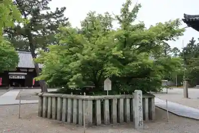 鶴林寺(兵庫県)