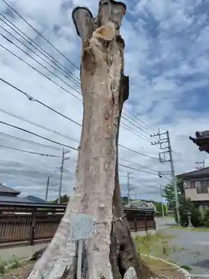 石井神社(茨城県)