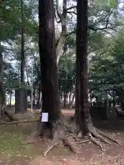 東蕗田天満社の自然