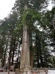 戸隠神社中社(長野県)