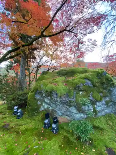 宝厳院(京都府)