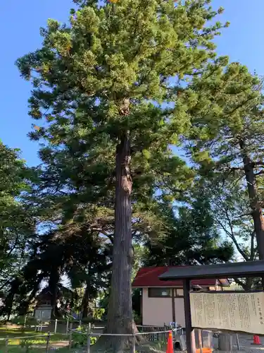 花巻神社(岩手県)