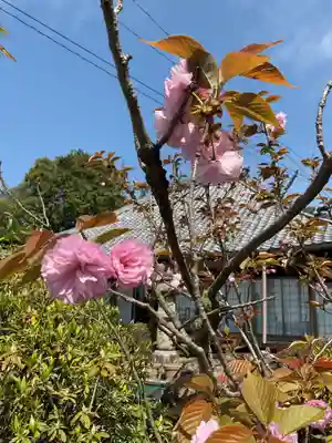 萬祥山常福寺(愛知県)