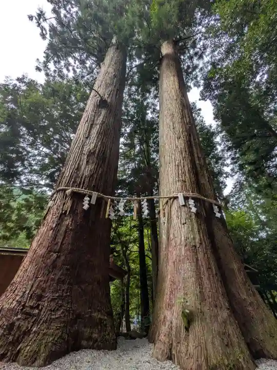 丹生川上神社(中社)(奈良県)