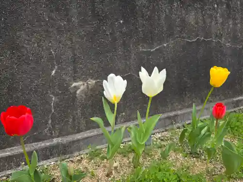 皆乗寺(和歌山県)