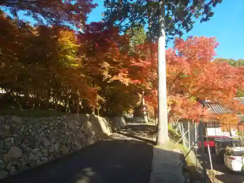 長安寺(京都府)