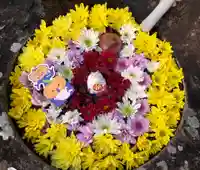 真言宗 善通寺派 薬王寺(香川県)