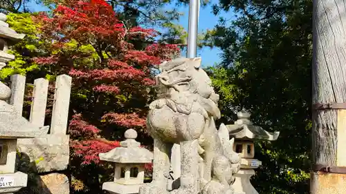 八幡神社(福井県)