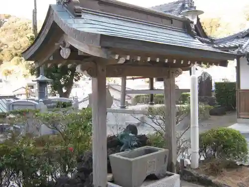 妙蓮寺の手水舎