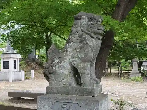 山縣神社の狛犬