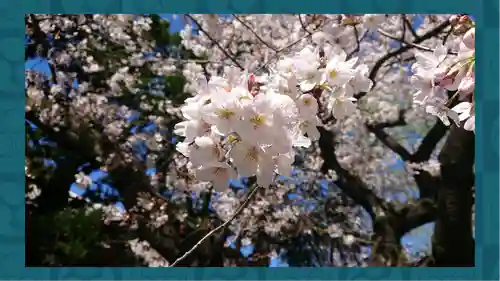 浅草神社(東京都)