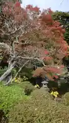 長谷寺(神奈川県)