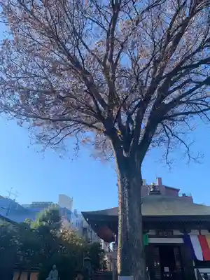 總持寺(東京都)