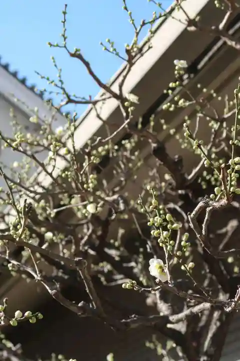 太融寺(大阪府)