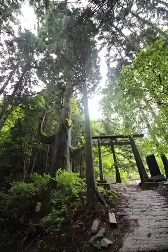 武蔵御嶽神社奥の院の鳥居