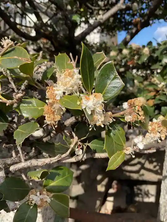 七尾神社(愛知県)