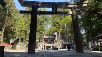 日光東照宮の{uncategorized: "未分類", other: "その他", undefined: "問題あり", building: "その他建物", grave: "お墓", sacred_gate: "鳥居", guardian: "狛犬", statue: "像", buddha: "仏像", history: "歴史", nature: "自然", garden: "庭園", animal: "動物", pagoda: "塔", temizu: "手水舎", mountain_gate: "山門・神門", sanctuary: "本殿・本堂", subordinate: "末社・摂社", art: "芸術", scenery: "景色", jizo: "地蔵", ema: "絵馬", goshuin: "御朱印", omikuji: "おみくじ", items: "授与品その他", amulet: "お守り", goshuincho: "御朱印帳", eats: "食事", festival: "お祭り", votive_dance: "神楽", shichigosan: "七五三参", wedding: "結婚式", experience: "体験その他", initially: "初詣", around: "周辺", anti_infection: "感染症対策"}