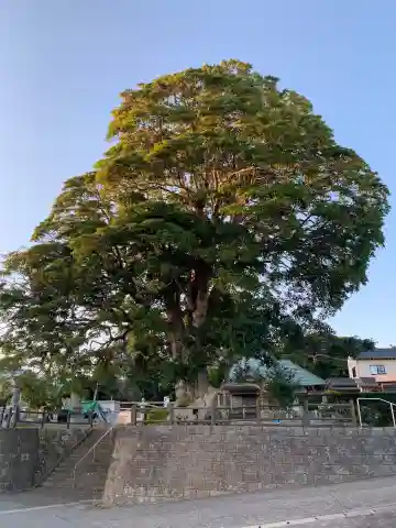 西福院(千葉県)