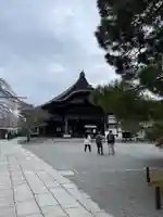 醍醐寺(京都府)