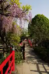 亀戸天神社の自然