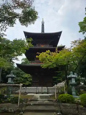 豪徳寺(東京都)