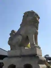 別宮大山祇神社の狛犬