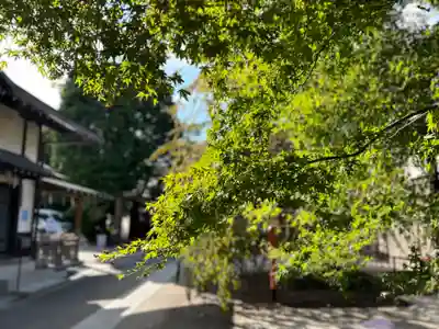 猿田彦神社(東京都)
