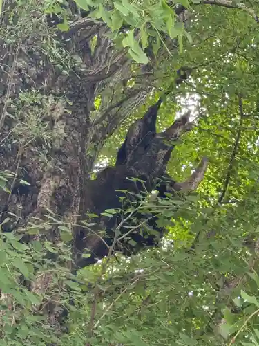 飛木稲荷神社(東京都)