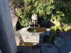 貫井神社の手水