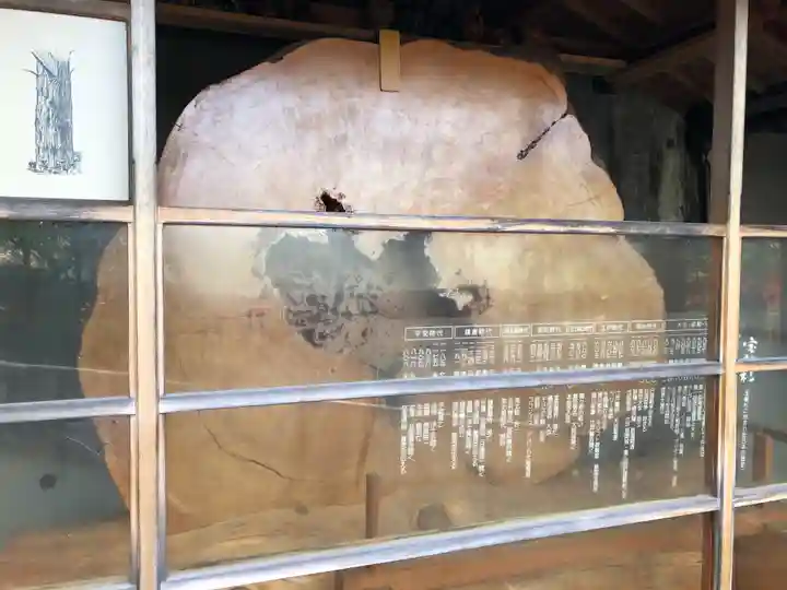 門戸厄神東光寺の自然